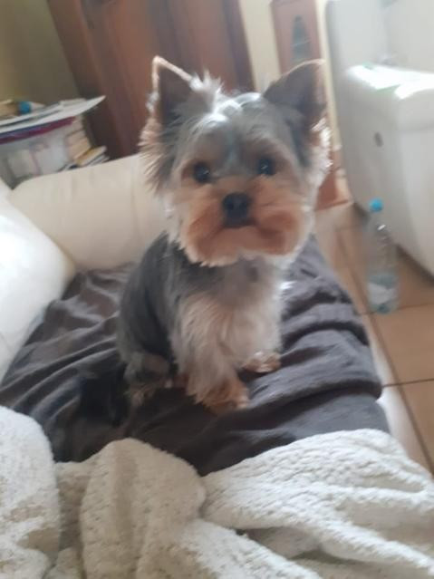 des Bruyères de Line - Des nouvelles de Varen des Bruyères de Line