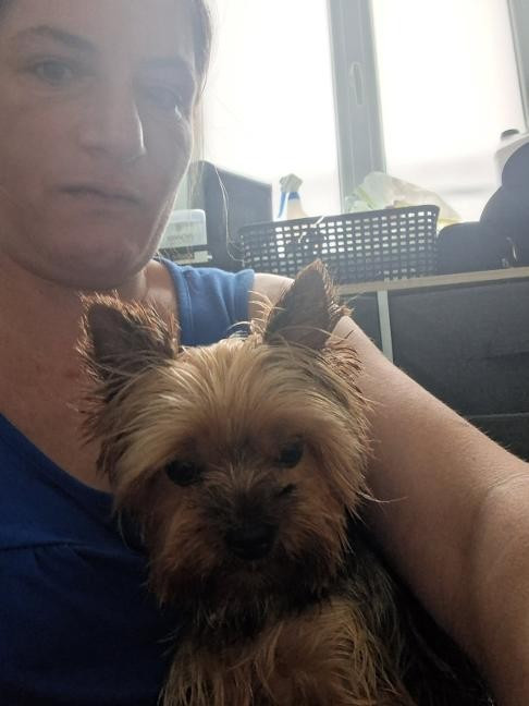 des Bruyères de Line - des nouvelles de Téhoura