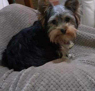 des Bruyères de Line - Des nouvelles de Varen