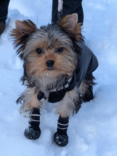 Des nouvelles de ALFIE