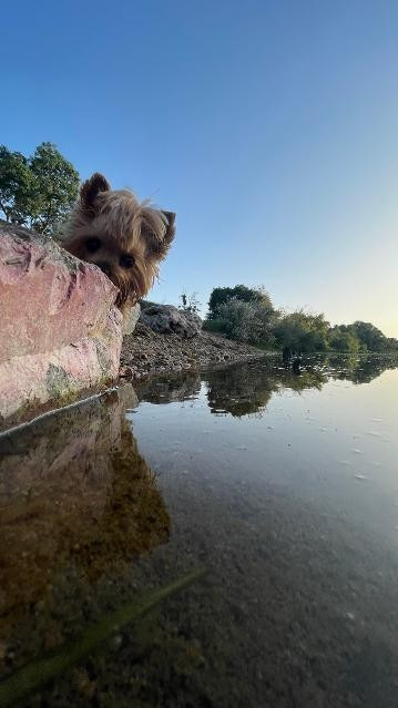 Des nouvelles de MISS MANATHAN