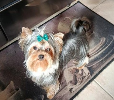 des Bruyères de Line - Des nouvelles de Valentin