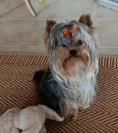 des Bruyères de Line - Des nouvelles de Valentin